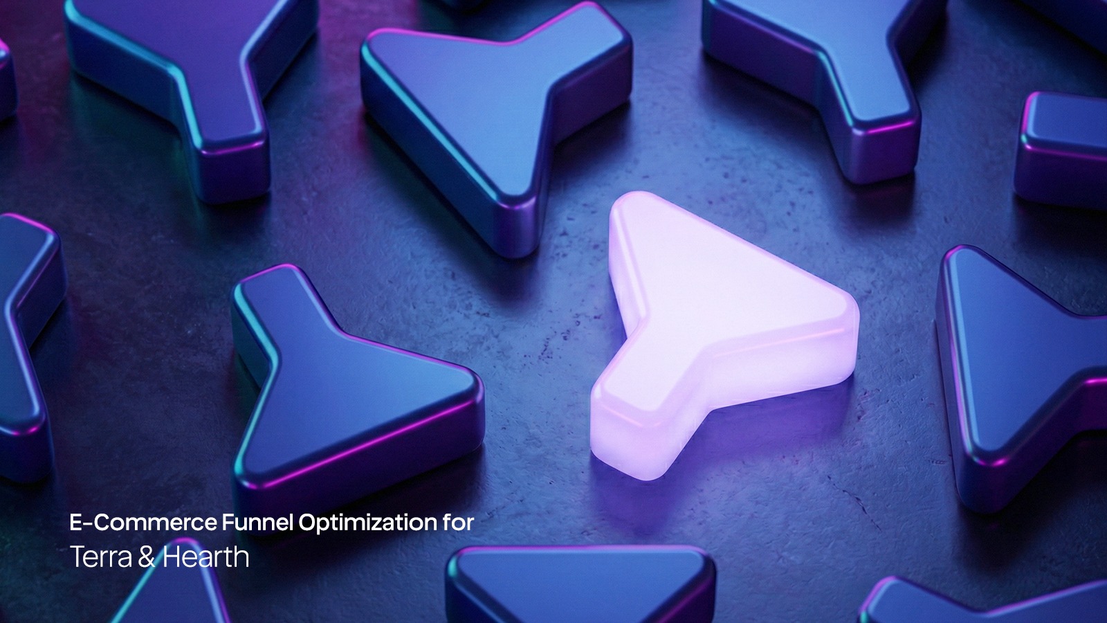 E-Commerce Funnel Optimization for Terra & Hearth